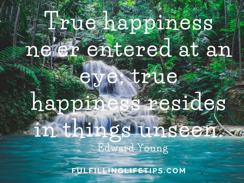 True happiness ne'er entered at an eye; true happiness resides in things unseen.